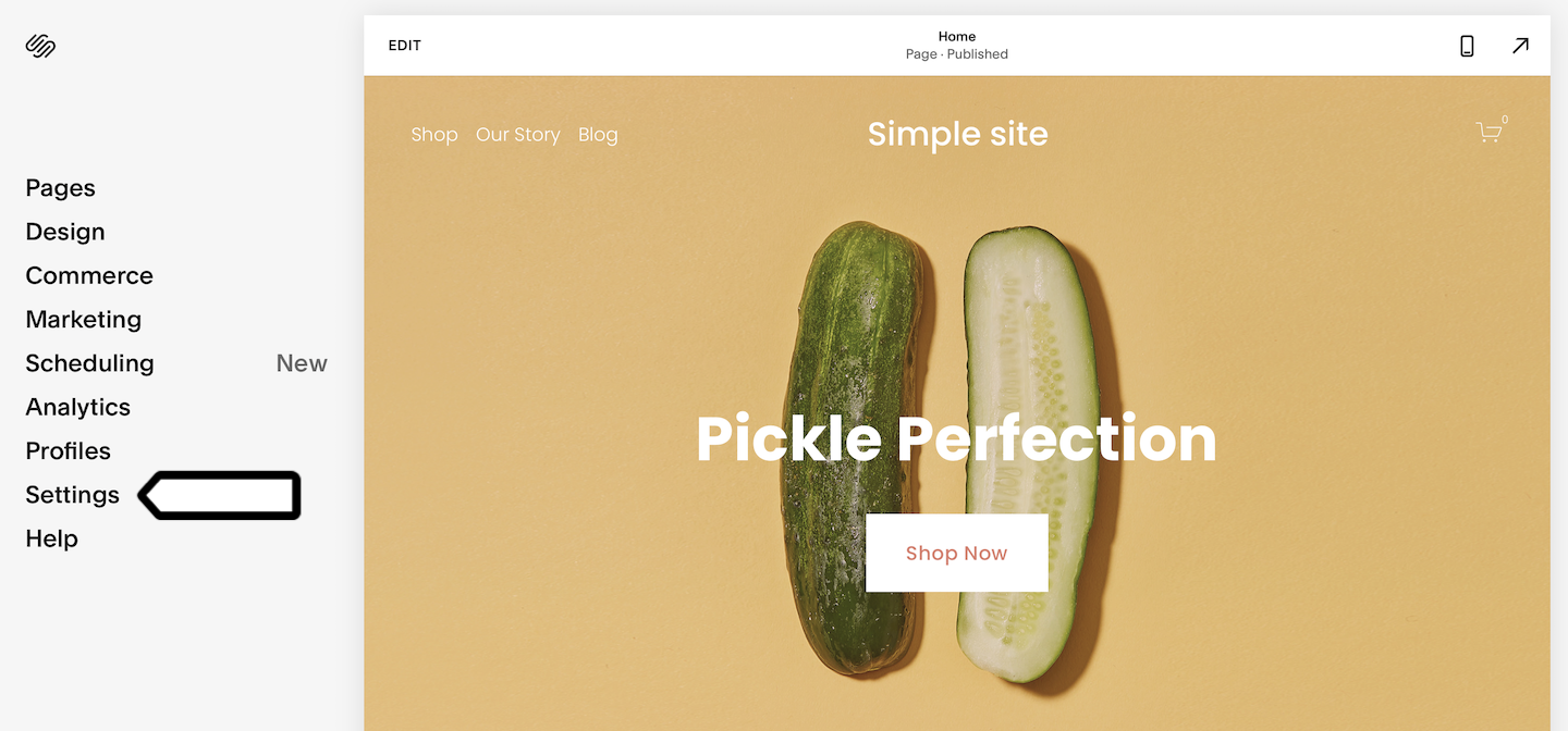 Settings in Squarespace